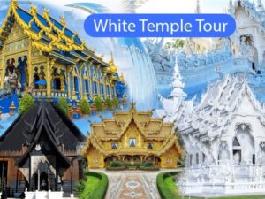 Chiang Rai White Temple Tour White Temple Blue Tmple and Black House Museum by Voyon Tour