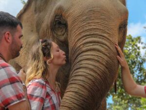 interacting with elephants, 1 day chiang mai elephant tour by voyon