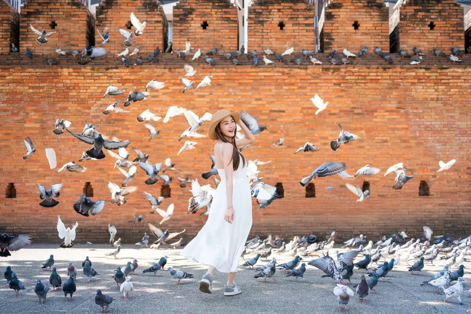 Chiang Mai Activities Voyon