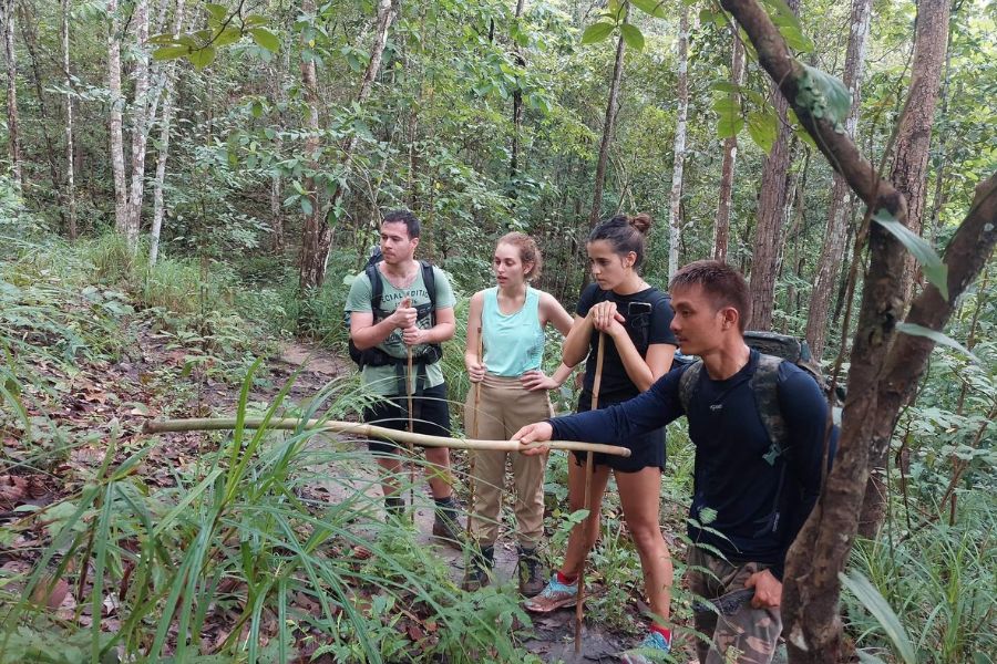 1 Day Doi Inthanon National Park Area hiking (Only Walk 6-7 hrs) - Image 4