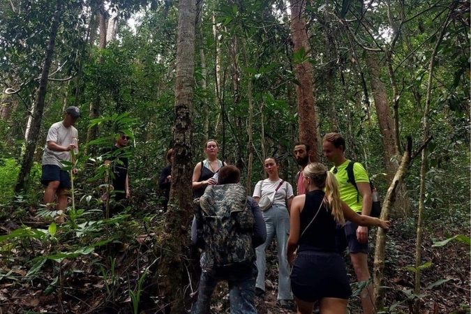 1 Day Doi Inthanon National Park Area hiking (Only Walk 6-7 hrs) - Image 2